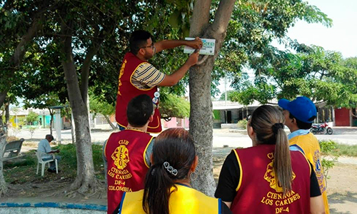 razones para ser leo